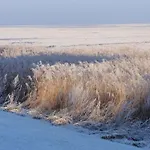 Luxus Mit Wattenmeerblick