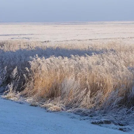 Luxus Mit Wattenmeerblick